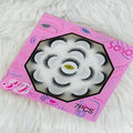 Sasa Original Eye Lashes Kit 13